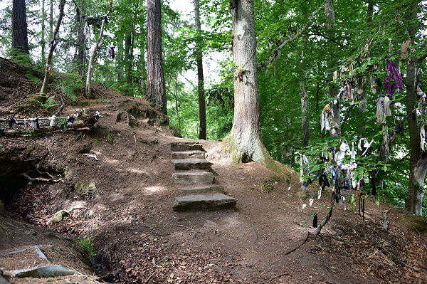 The Clootie Well on the Black Isle