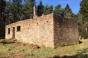 Remains of Polish Camp in Tentsmuir Forest