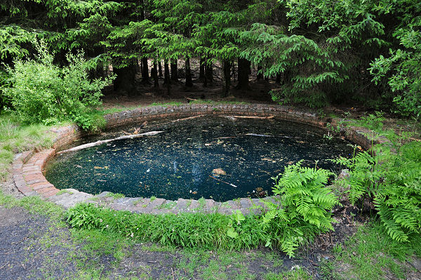 Torwood Blue Pool