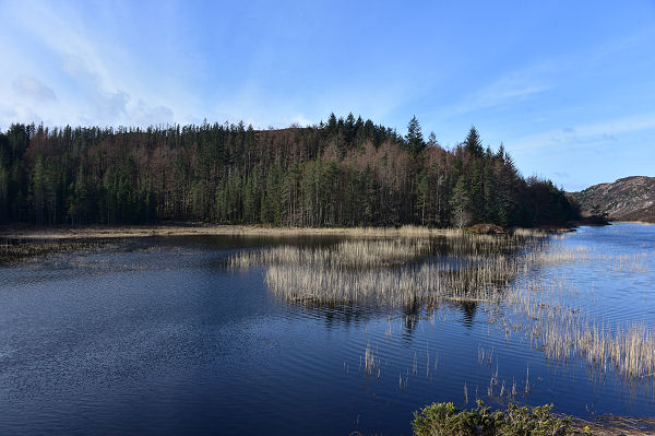 Loch Duartmore near Kylesku
